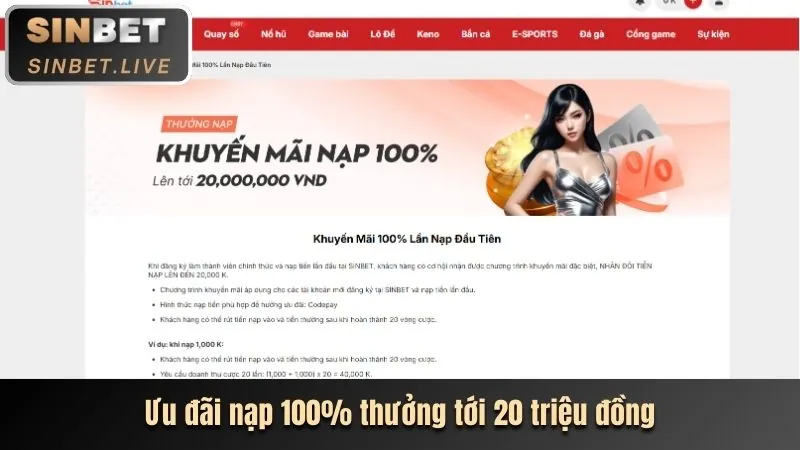 Ưu đãi độc quyền cho thành viên VIP 22vip